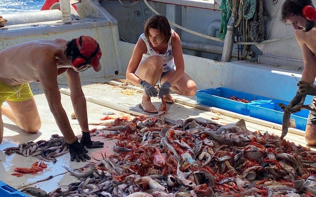 Taula Parada debate sobre el futuro de la pesca en el Mediterráneo (Segunda parte)